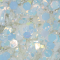TWINKLE 